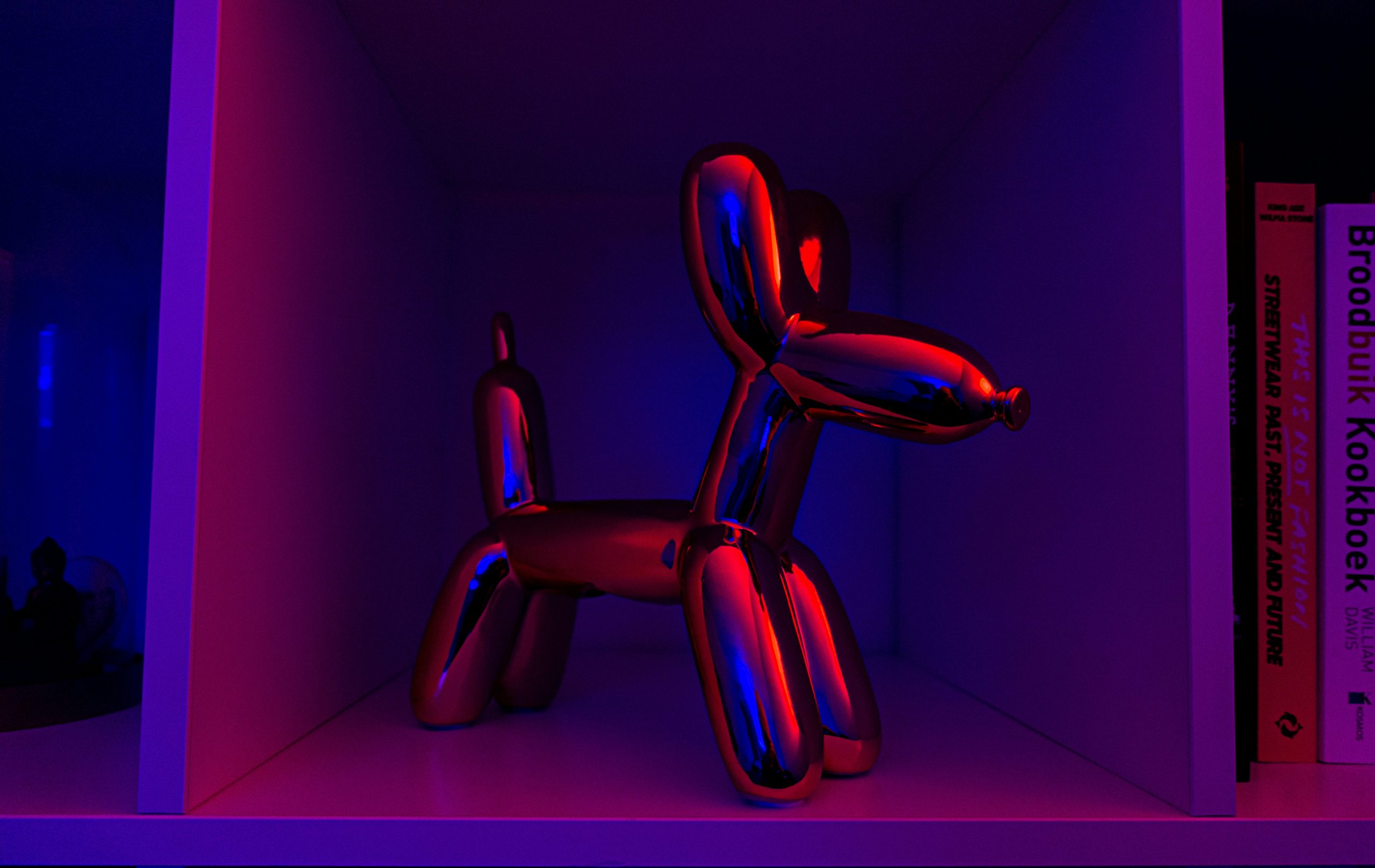 rutger-lanser-6fx2bCvMMmc-unsplash
